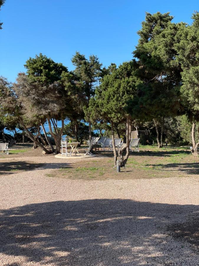 Meridium Formentera By Tentol Hotels Platja de Migjorn Zewnętrze zdjęcie